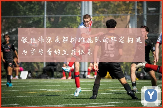 张佳玮深度解析雄鹿队的阵容构建与字母哥的支持体系