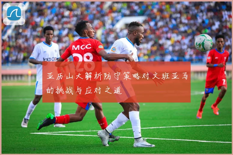 亚历山大解析防守策略对文班亚马的挑战与应对之道